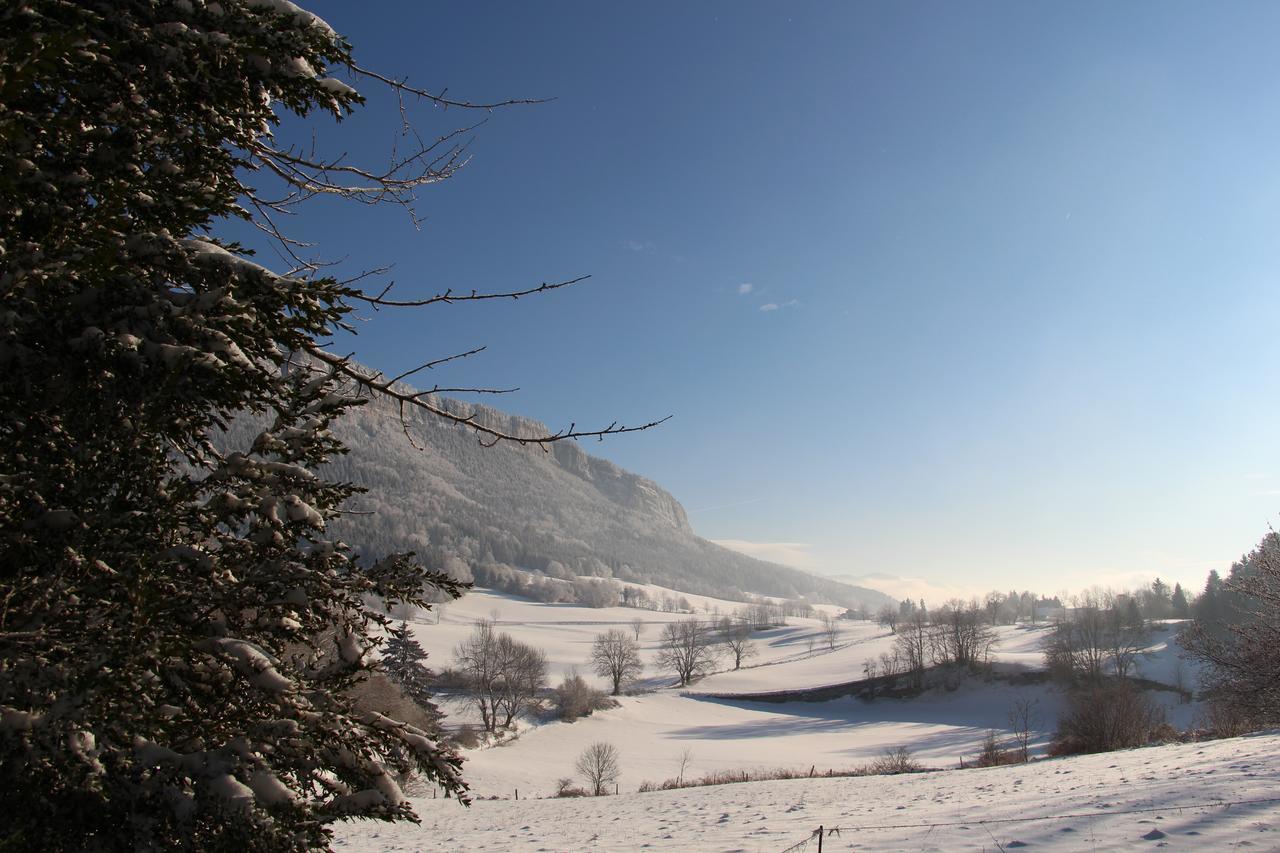 Cafe Brochier Hotel Saint-Julien-en-Vercors Екстериор снимка